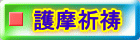 얀F 